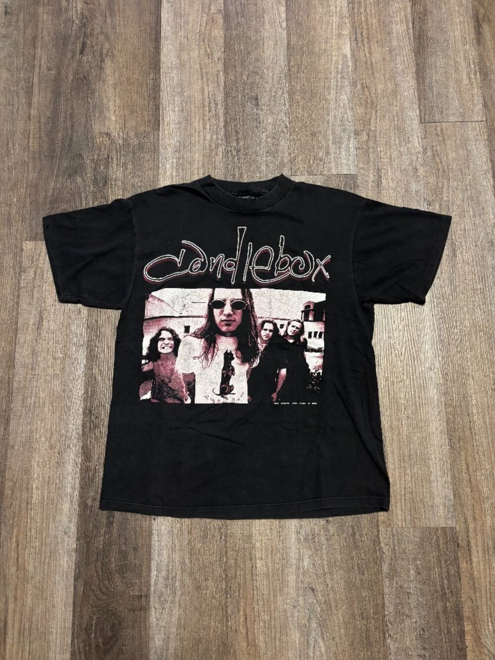 Vintage 1993 Candlebox Ho'n Your *ss Graphic Tee Shirt Giant by Tultex - Picture 1 of 5